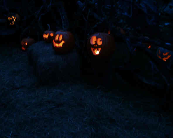 Our pumkins light your way